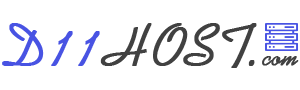 D11Host – Web Hosting in India